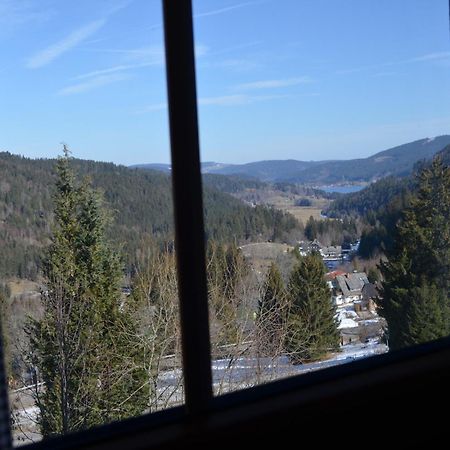 Ferienwohnung Seeblick Nr 4 2-Zimmer, Baerental, Feldberg Rotwasser Buitenkant foto